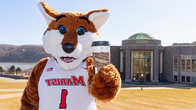 Image of Marist mascot Frankie the Fox holding a Saxbys coffee cup in front of the campus green and rotunda.