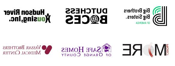 Big Brothers Big Sisters, Dutchess BOCES, Hudson River Housing, Inc, Project MORE, Safe Homes of Orange County, Vassar Brothers Medical Center